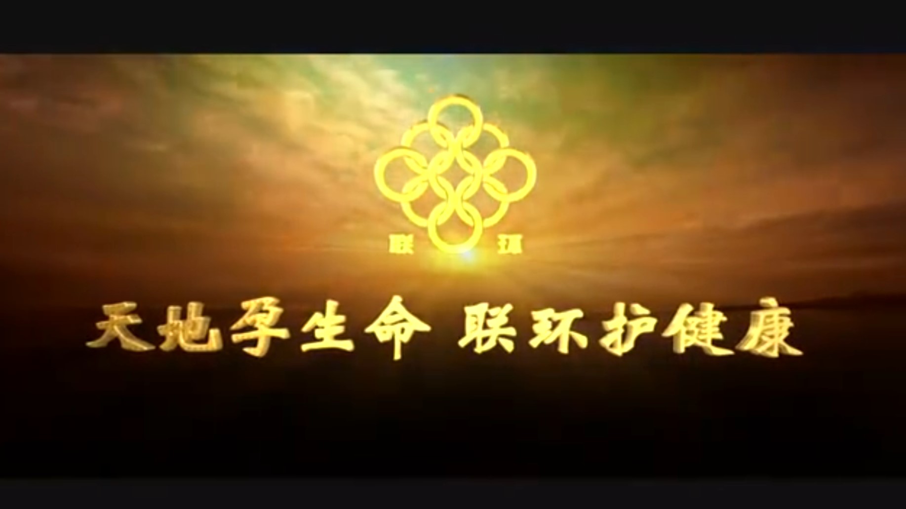 巅峰国际集团厂歌